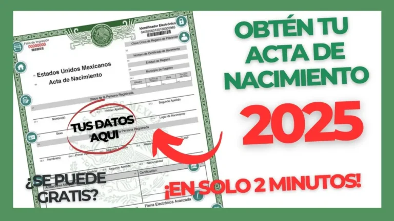 Como Consultar e Baixar sua Acta de Nascimento Digital em 2026